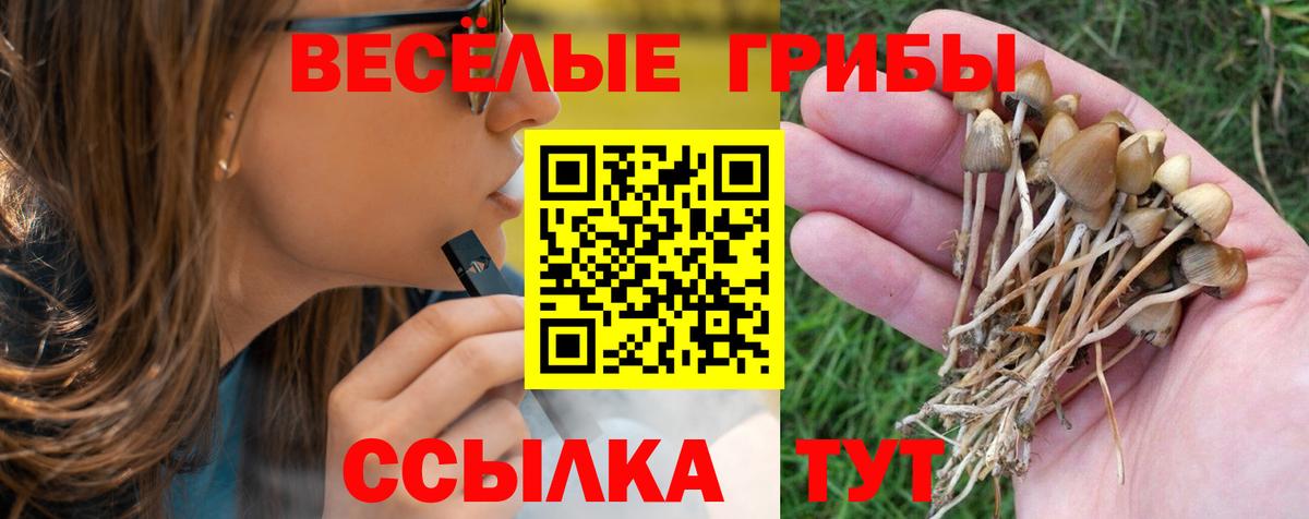 Галлюциногенные грибы мицелий Зима